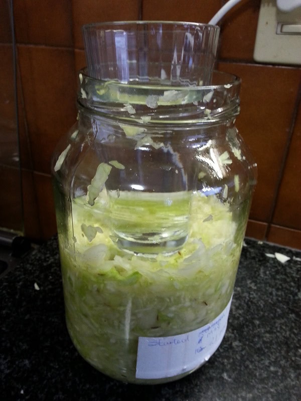 A large glass jar filled with shredded cabbage, ideal for keto weight loss, with a glass placed upside down inside the jar, sits on a dark countertop in a kitchen.